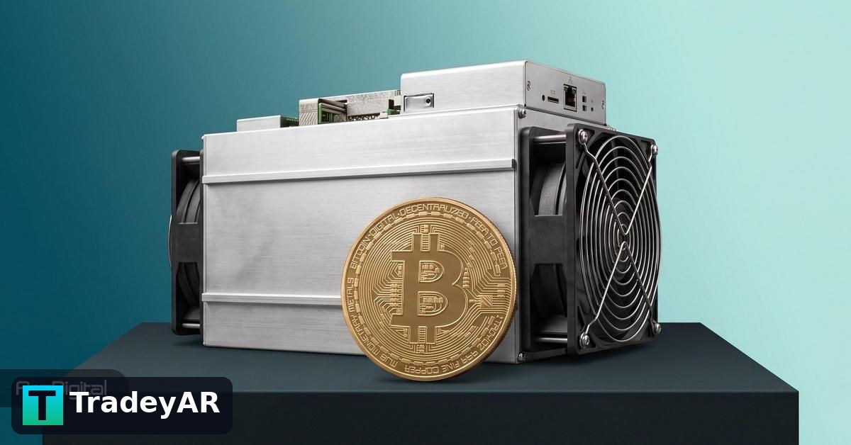 جابه‌جایی مشکوک بیت کوین توسط ماینرها؛ آیا باید منتظر سقوط قیمت باشیم؟